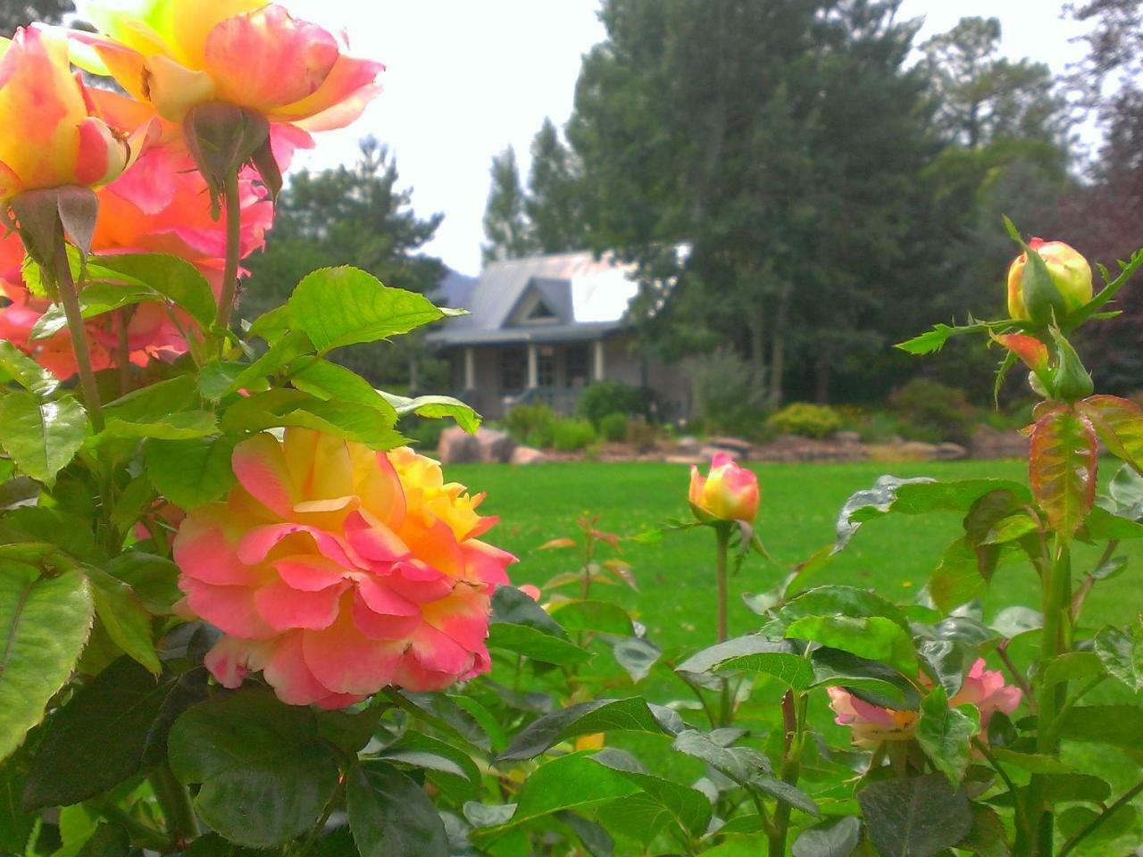 Apple Orchard Inn Hermosa Экстерьер фото
